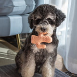 Squeaky Rubber Dog Chew Toys-FunnyFuzzy