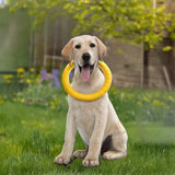 Durable EVA Floating Chew Ring Frisbee Dog Toy