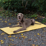 Foldable Waterproof Portable Dog Car Seat Mat Dog Camping Mat-FunnyFuzzy