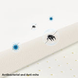 Luxury Natural Latex Supportive Anti-Scratch Dog & Cat Sofa Bed