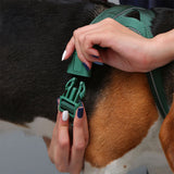 Nylon Adjustable Reflective No-Pull Dog Harness Collar and Lead