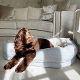 Dog Bed - Donut-FunnyFuzzy