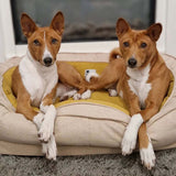 Dog Bed - Donut-FunnyFuzzy